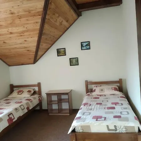 Country house Гірська Палітра