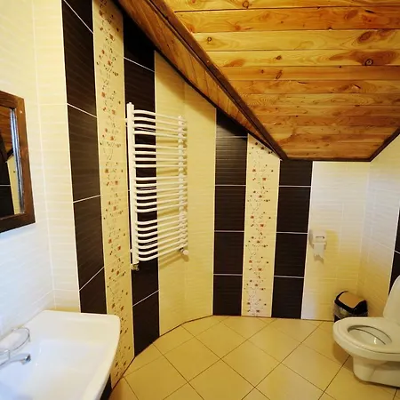 Гірська Палітра Country house Slavske