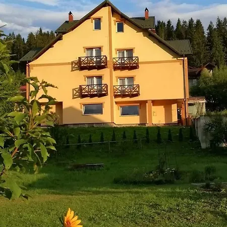 Гірська Палітра Country house Slavske